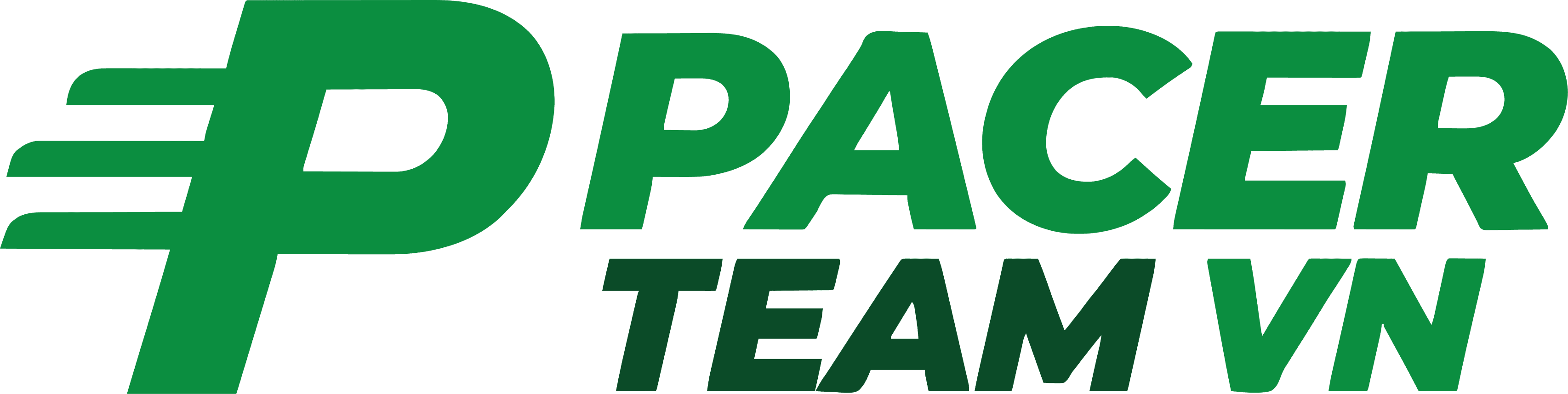 Pacer Team VN